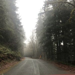 Meet your Posher, Louis